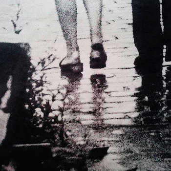 Demersal : Life Is But Broken Dreams - Joie de Vivre